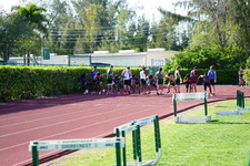 Enlarge photo 272