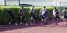 Enlarge photo 271