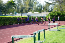 Enlarge photo 273