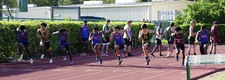 Enlarge photo 274