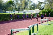 Enlarge photo 276