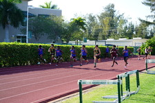 Enlarge photo 277