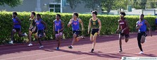 Enlarge photo 280