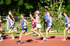 Enlarge photo 299