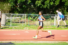 Enlarge photo 341