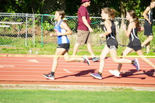 Enlarge photo 347