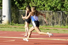 Enlarge photo 452