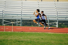 Enlarge photo 478