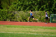 Enlarge photo 487