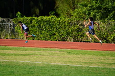 Enlarge photo 488