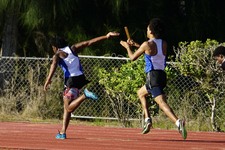 Enlarge photo 490