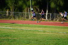 Enlarge photo 496