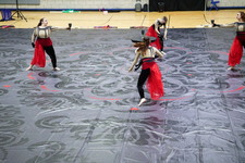 Enlarge photo 132