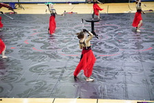 Enlarge photo 203
