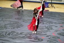 Enlarge photo 217
