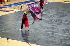 Enlarge photo 271