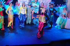 Enlarge photo 319
