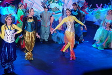 Enlarge photo 336