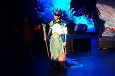 Enlarge photo 431