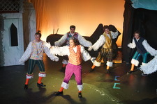 Enlarge photo 231