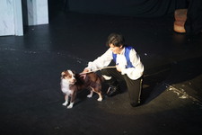 Enlarge photo 353