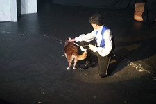 Enlarge photo 359