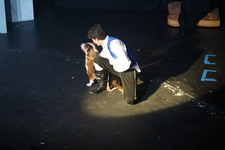Enlarge photo 372