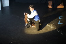 Enlarge photo 374