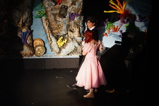 Enlarge photo 529