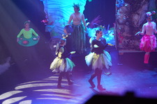 Enlarge photo 1061