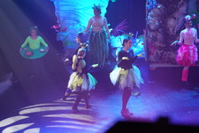 Enlarge photo 1062