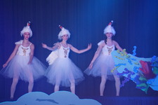 Enlarge photo 1081