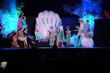 Enlarge photo 83