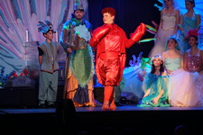 Enlarge photo 120