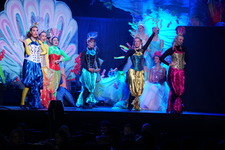 Enlarge photo 137