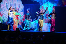 Enlarge photo 139