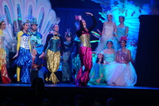 Enlarge photo 146
