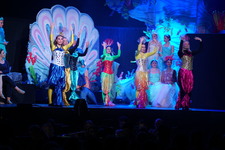 Enlarge photo 168