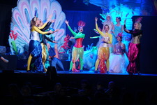 Enlarge photo 173