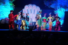 Enlarge photo 183