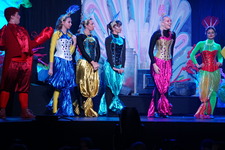 Enlarge photo 208