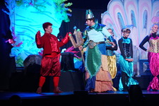 Enlarge photo 229