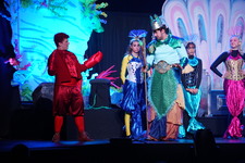 Enlarge photo 231