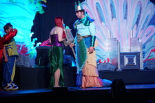 Enlarge photo 252