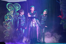 Enlarge photo 328