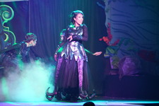 Enlarge photo 355