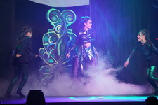 Enlarge photo 439