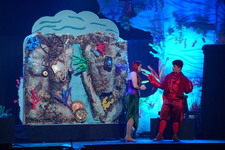 Enlarge photo 484