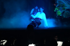 Enlarge photo 532
