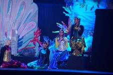 Enlarge photo 619